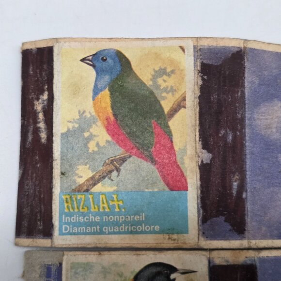 Vintage Bird Illustration Safety Matches Box Oranje Troepiaal, Indische Nonparei - Picture 2 of 6